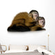 Two Baby Capuchins Sapajou Wall Decal