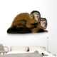 Two Baby Capuchins Sapajou Wall Decal
