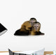 Two Baby Monkeys Wall Decal