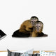 Two Baby Monkeys Wall Decal