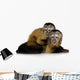 Two Baby Monkeys Wall Decal
