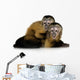 Two Baby Monkeys Wall Decal
