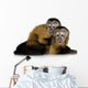 Two Baby Monkeys Wall Decal