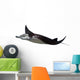 Manta Ray