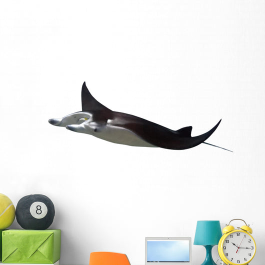 Manta Ray