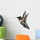 Isolated Ruby-throated Hummingbird Wall Decal