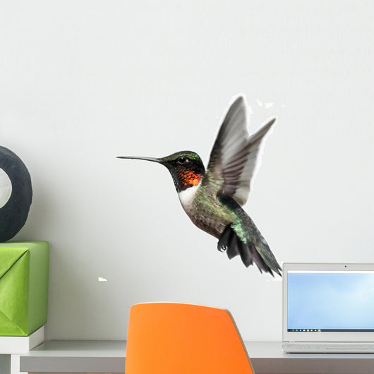Isolated Ruby-throated Hummingbird Wall Decal