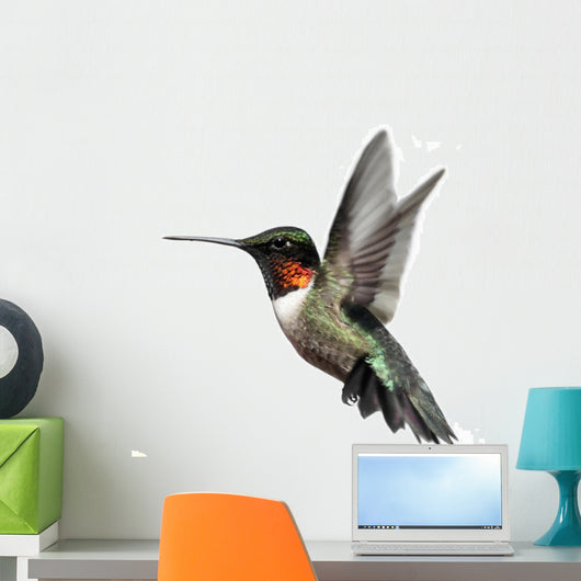 Isolated Ruby-throated Hummingbird Wall Decal