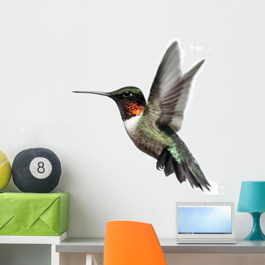 Isolated Ruby-throated Hummingbird Wall Decal