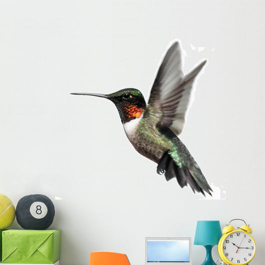 Isolated Ruby-throated Hummingbird Wall Decal