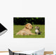 Young animals Wall Mural
