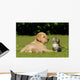 Young animals Wall Mural