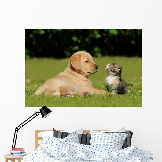 Young animals Wall Mural