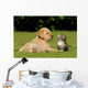 Young animals Wall Mural
