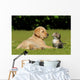 Young animals Wall Mural