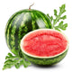 watermelon Wall Mural