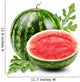 watermelon Wall Mural