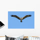 Hungry Osprey Hunting Wall Mural