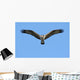 Hungry Osprey Hunting Wall Mural