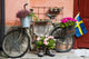 Flower Decorated Bike Stockholm