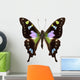 Butterfly Species Graphium Weiskei