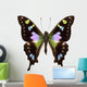 Butterfly Species Graphium Weiskei