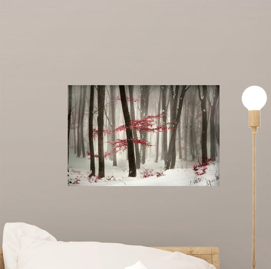 Winter calm day in the forest Wall Mural