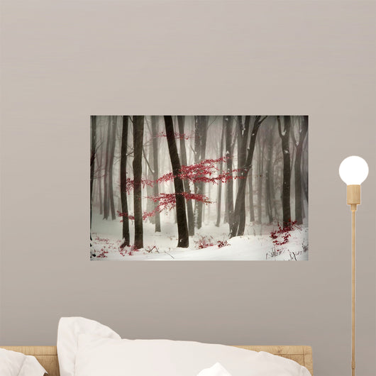 Winter calm day in the forest Wall Mural