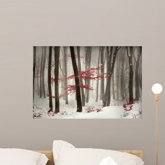 Winter calm day in the forest Wall Mural
