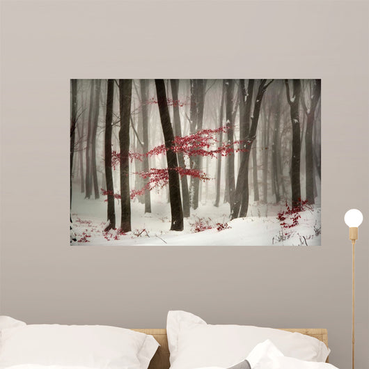 Winter calm day in the forest Wall Mural