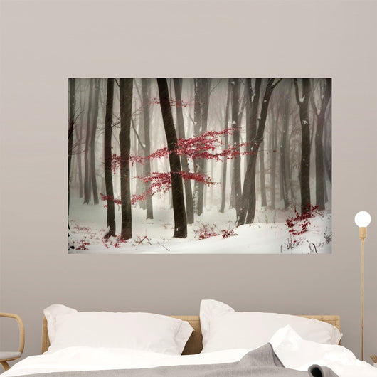 Winter calm day in the forest Wall Mural