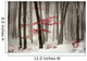 Winter calm day in the forest Wall Mural