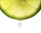 Fresh Lime and Slice Wall Mural