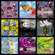 Photo Mosaic with Effect Wall Mural