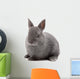 Bunny Wall Decal