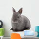 Bunny Wall Decal