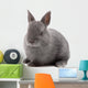 Bunny Wall Decal