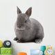 Bunny Wall Decal