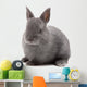 Bunny Wall Decal
