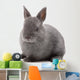 Bunny Wall Decal