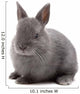 Bunny Wall Decal