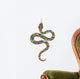 Beautiful Psychedelic Snake Wall Decal