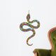 Beautiful Psychedelic Snake Wall Decal