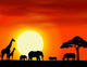 Africa Safari Landscape Background Wall Mural