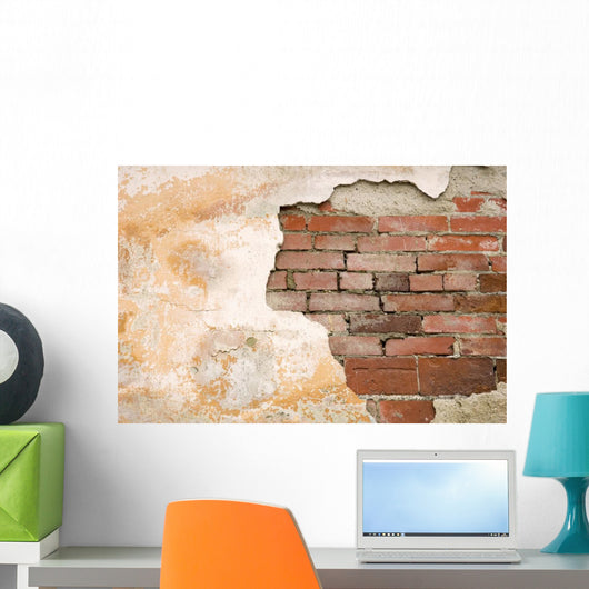 Old Wall Wall Mural