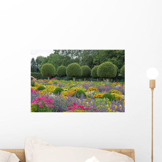 French Garden Flowers and