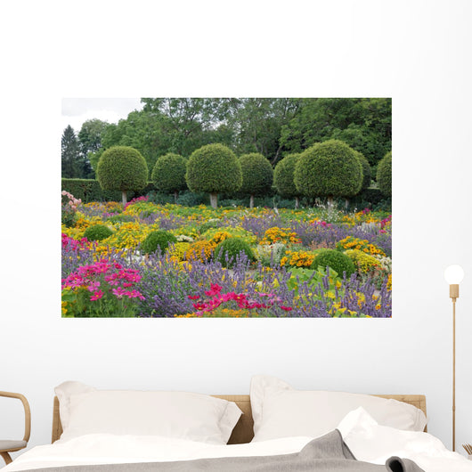 French Garden Flowers and