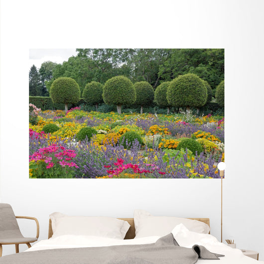 French Garden Flowers and