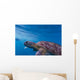 Hawksbill Sea Turtle Wall Mural
