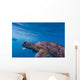 Hawksbill Sea Turtle Wall Mural
